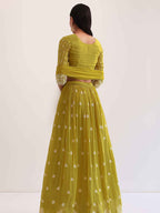 Women’s Lime Green Embroidered Lehenga Choli Set with Dupatta | Wedding & Festive Wear
